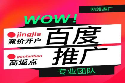 某电商平台的SEM营销推广实战经验